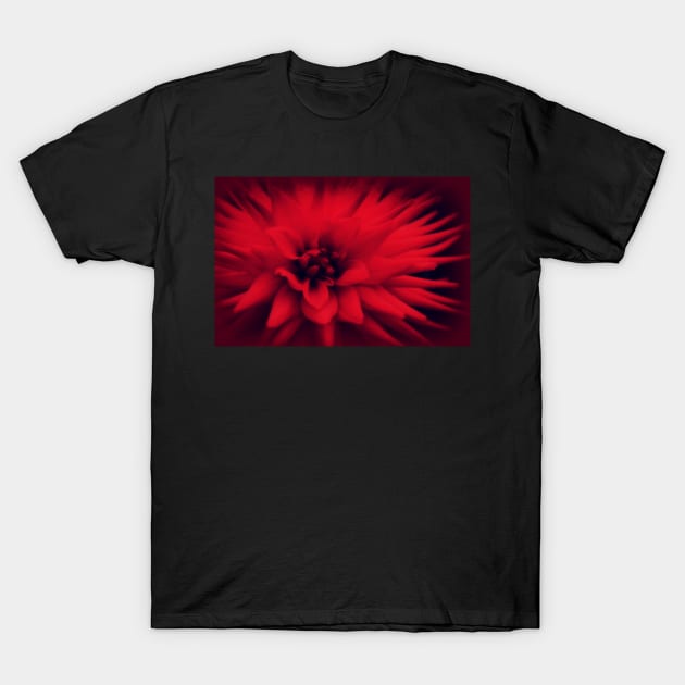 Redder Than Red T-Shirt by AlexaZari